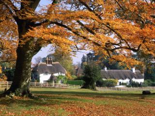 Obrazek: Domy w Hampshire Anglia