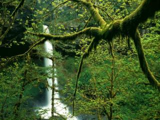 Obrazek: Wodospad w Oregonie