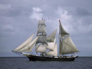 Obrazek: Sailing the Seas