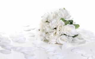 Obrazek: Białe róże