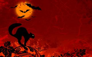 Obrazek: Czarny kot na czerwonym tle