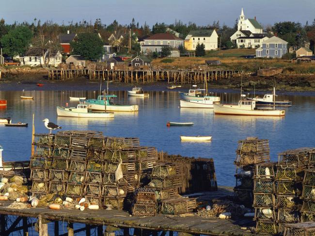 Corea Harbor at Sunrise, Maine