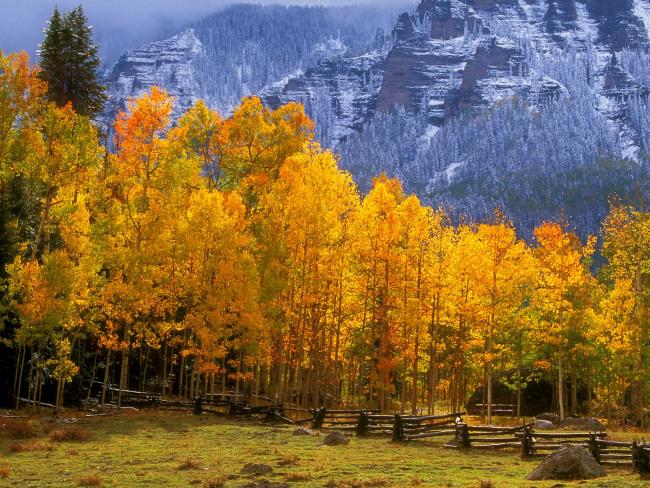 Las jesienią na tle góry Kolorado