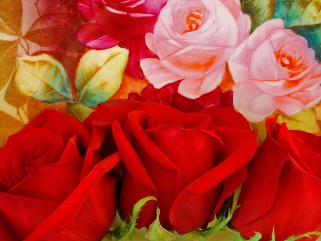 Red Roses on a Painted Plate