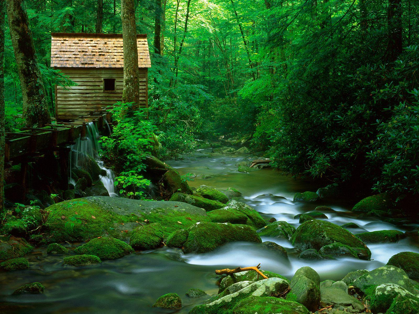 HDmax - Reagan Mill, Roaring Fork, Great Smoky Mountains National Park